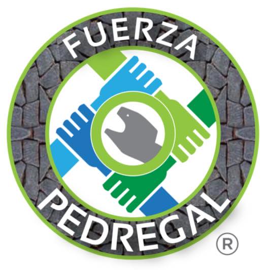 Fuerza Pedregal